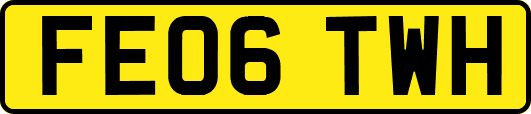 FE06TWH