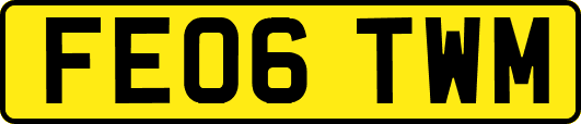 FE06TWM