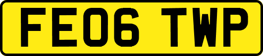 FE06TWP