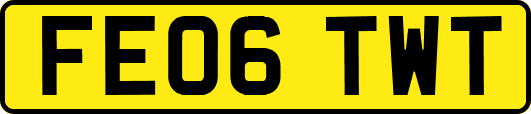 FE06TWT