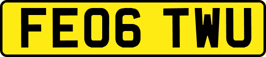FE06TWU