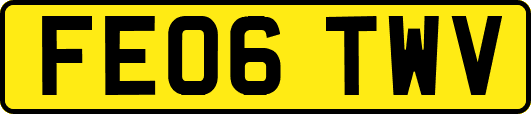 FE06TWV