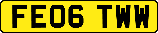 FE06TWW
