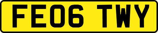 FE06TWY
