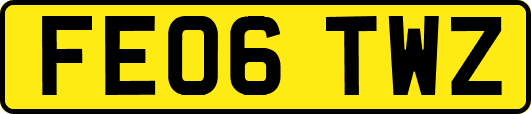 FE06TWZ