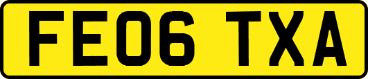 FE06TXA