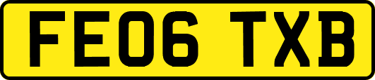 FE06TXB