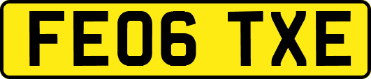 FE06TXE