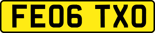 FE06TXO