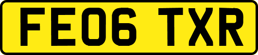 FE06TXR