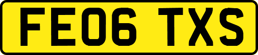FE06TXS