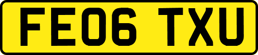 FE06TXU