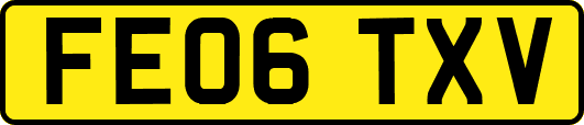 FE06TXV
