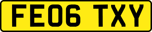 FE06TXY
