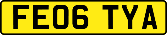 FE06TYA
