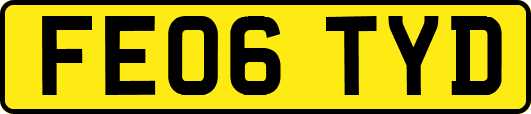 FE06TYD