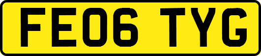 FE06TYG
