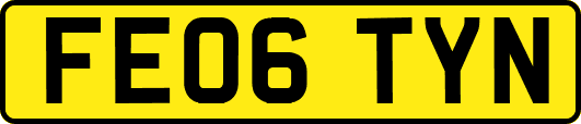 FE06TYN