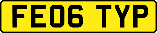 FE06TYP