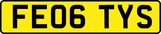 FE06TYS