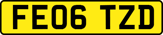 FE06TZD