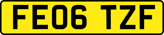 FE06TZF