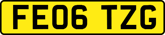 FE06TZG