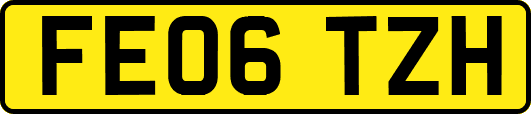 FE06TZH