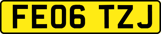 FE06TZJ
