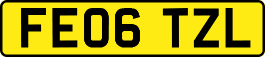 FE06TZL