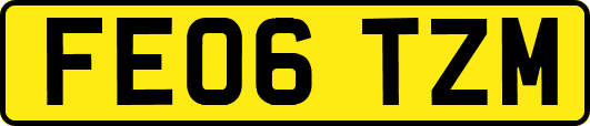 FE06TZM