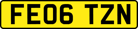 FE06TZN