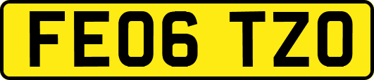 FE06TZO