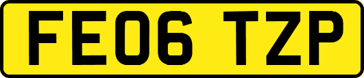 FE06TZP