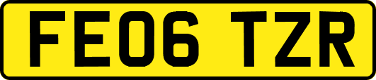 FE06TZR