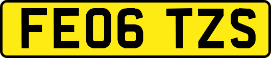 FE06TZS