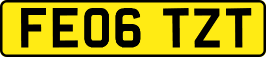 FE06TZT