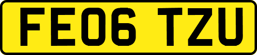 FE06TZU