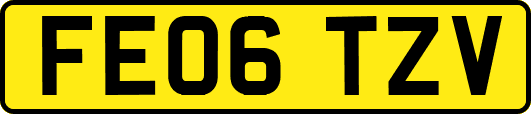 FE06TZV