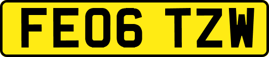 FE06TZW