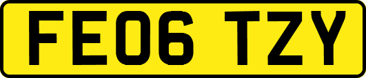 FE06TZY