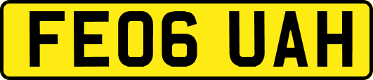 FE06UAH