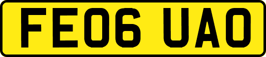 FE06UAO