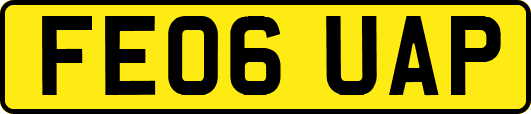 FE06UAP
