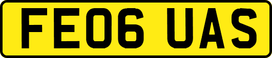 FE06UAS