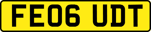 FE06UDT