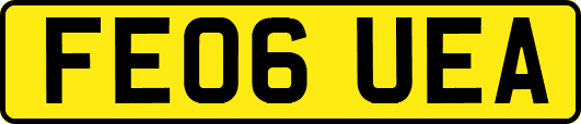 FE06UEA