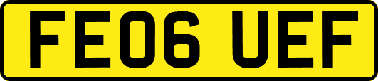 FE06UEF