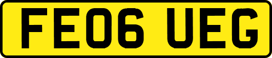 FE06UEG