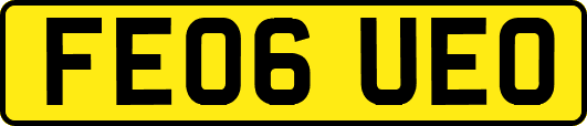 FE06UEO